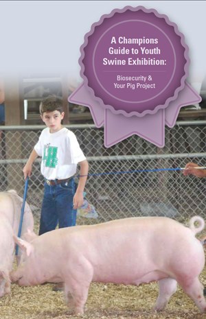 A Champions Guide to Youth Swine Exhibition